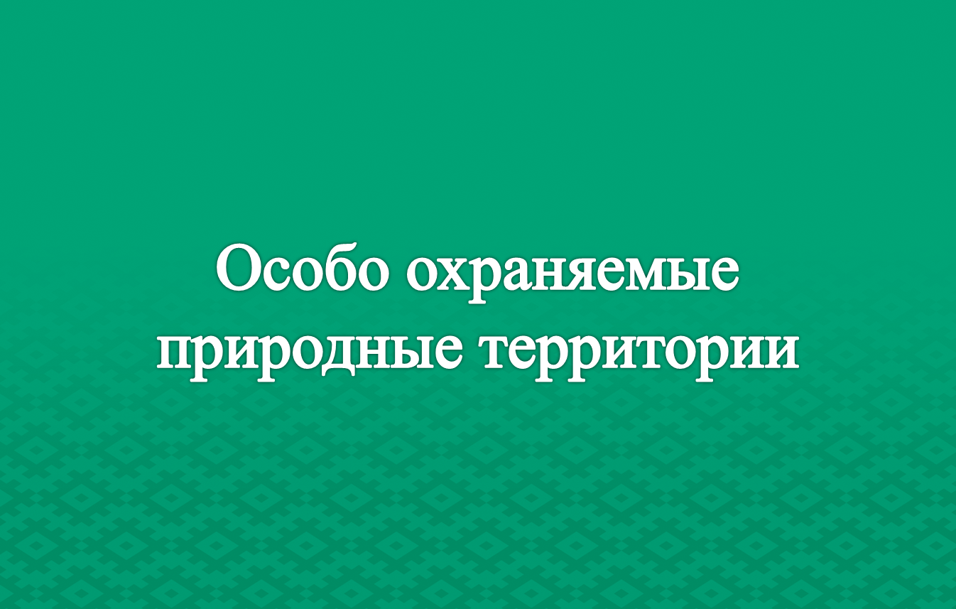 Ответственность за нарушение режима охраны и использования особо охраняемых природных территорий.