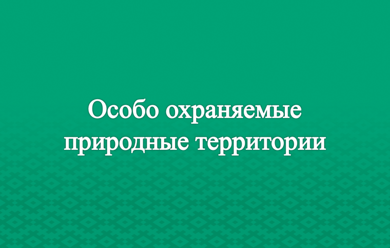 Ответственность за нарушение режима охраны и использования особо охраняемых природных территорий. Ответственность за нарушение режима охраны и использования особо охраняемых природных территорий.